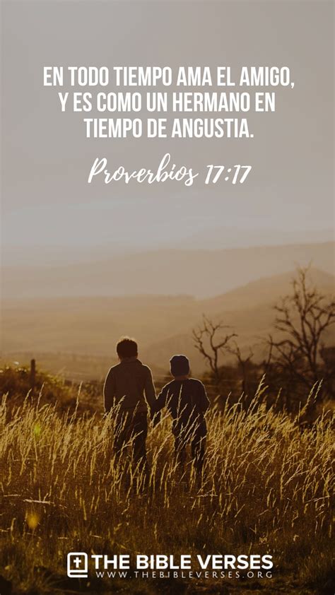 frases cristianas de amor y amistad|textos bíblicos sobre el amor.